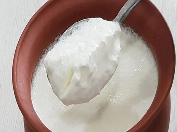 বর্ষায় দই খাবেন কী ভাবে? 
Representative Image 