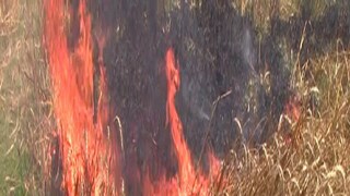 প্রতীকী ছবি প্রতীকী ছবি