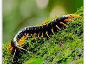 প্রতীকী ছবি ৷
