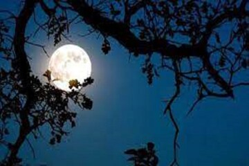 দারুণ মুহূর্তেই বাজিমাত! গুরুপূর্ণিমায় চারটি রাজযোগ মালামাল করবে, বিপুল টাকা