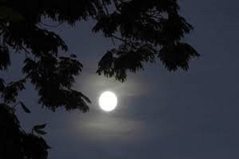 এছাড়াও আষাঢ় মাসের পূর্ণিমা অর্থাৎ বেদব্যাসের জন্মদিন ৷ মহর্ষি বেদব্যাস বেদপুরাণ রচনা করেছেন ৷ প্রতীকী ছবি ৷