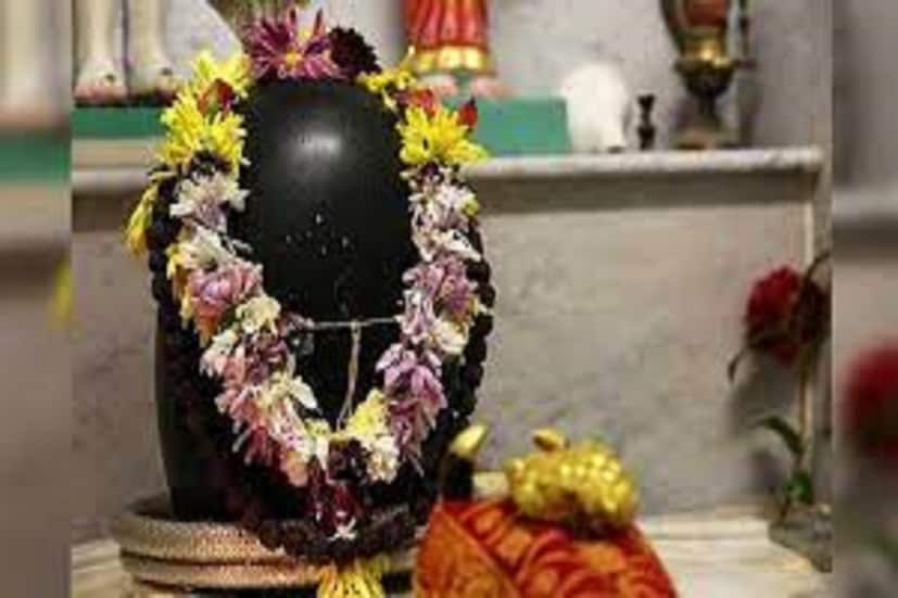 এরফলে জাতক-জাতিকাদের শরীর স্বাস্থ্য ভাল থাকে ৷ একই সঙ্গে শ্রাবণ মাসে শিবের নামে তিসি ফুল অর্পণ করলে সমস্ত শাপমুক্তি ঘটে ৷ প্রতীকী ছবি ৷