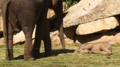 ট্য়ুইটার থেকে পাওয়া ছবি ট্য়ুইটার থেকে পাওয়া ছবি