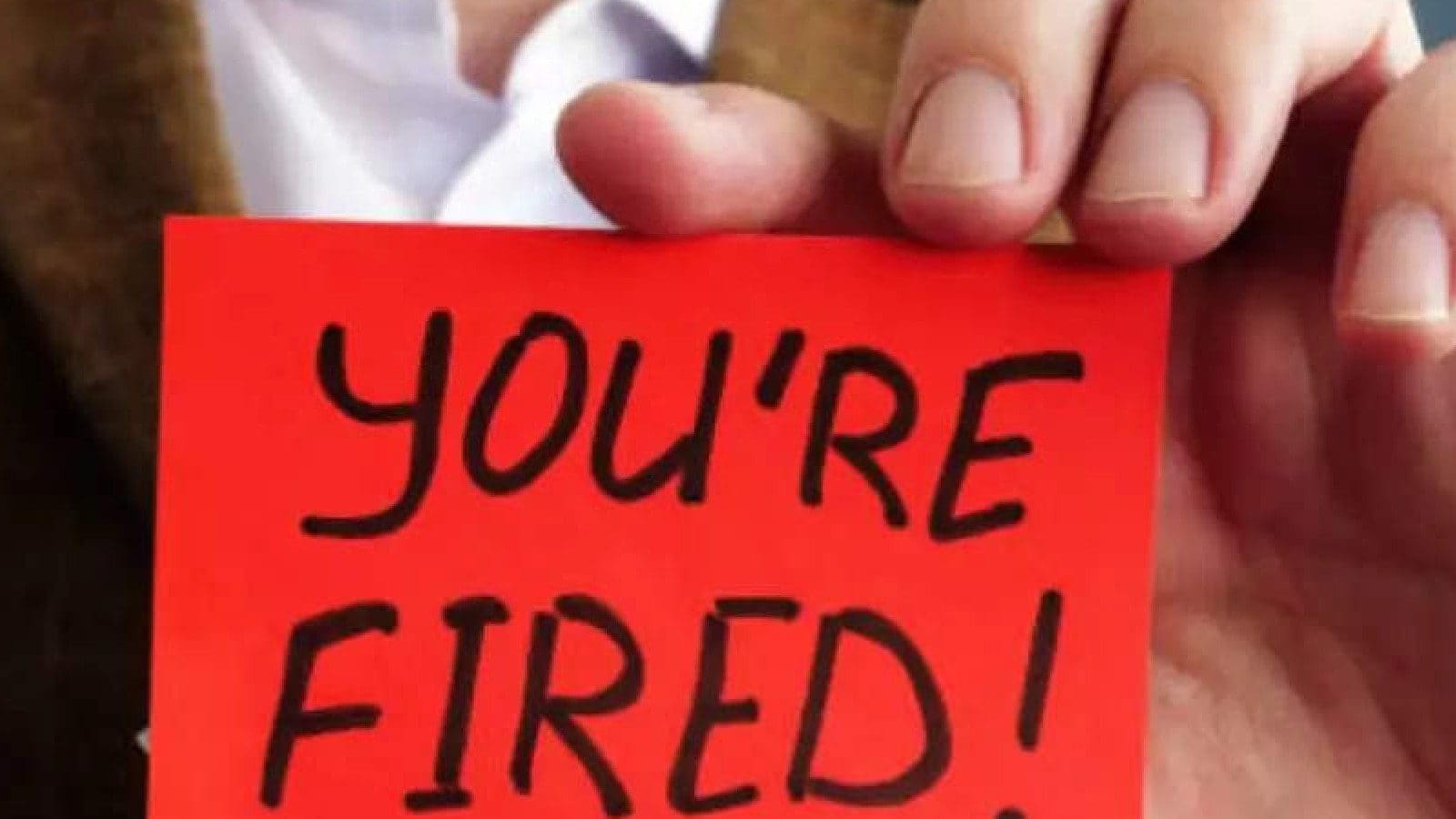 এক হাজার কর্মী চাকরি হারাবেন! ছাঁটাইয়ের ঘোষণা ই-কমার্স সংস্থার এক হাজার কর্মী চাকরি হারাবেন! ছাঁটাইয়ের ঘোষণা ই-কমার্স সংস্থার