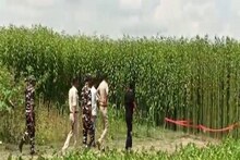 ডোমকলে বোমা বাঁধতে গিয়ে মৃত ১ আহত ৩