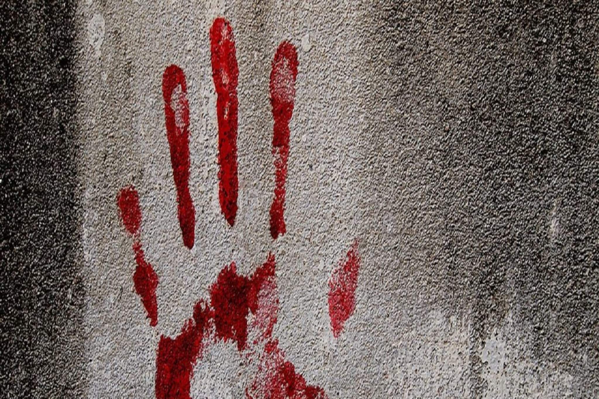 সোনাগাছিতে খুন! গলা-কাটা অবস্থায় উদ্ধার যৌনকর্মীর দেহ