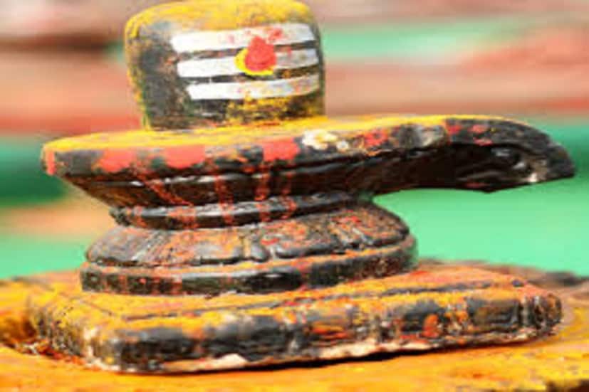 প্রবল বাধা বিপত্তিতে কোনও কাজ সম্পন্ন হয়না বা কাজ আটকে যাচ্ছে তখন চামেলি ফুলই মুক্তি দিতে পারে সমস্যা থেকে ৷ প্রতীকী ছবি ৷