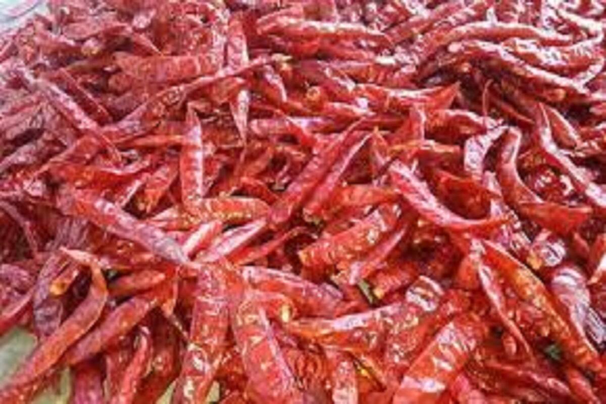 Astrology Tips, Red Chilli Upay, Lal Mirch Upay, Lal Mirch Remesdies