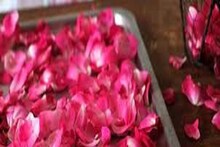 বাড়ির চেহারা বদলে দিতে পারে গোলাপের পাপড়ি, নিজেকে ইনিজে চিনতেই পারবেন না