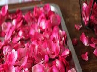 প্রতীকী ছবি {