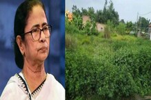 'ওই সরকার অনেক জমি দিয়েছিল, কী হল?' হিন্দমোটরে বামেদের নিশানা মুখ্যমন্ত্রীর! 'ওই সরকার অনেক জমি দিয়েছিল, কী হল?' হিন্দমোটরে বামেদের নিশানা মুখ্যমন্ত্রীর!