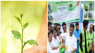 নগরায়নের সঙ্গে পরিবেশ বাঁচানোর উদ্যোগ