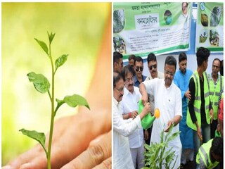নগরায়নের সঙ্গে পরিবেশ বাঁচানোর উদ্যোগ