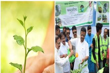 নতুন বাড়ির প্ল্যান কষছেন? রাজ্যে এবার 'গাছ লাগানোর' আইন চাইছে বন দফতর! নতুন বাড়ির প্ল্যান কষছেন? রাজ্যে এবার 'গাছ লাগানোর' আইন চাইছে বন দফতর!