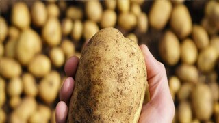 প্রতীকী ছবি। প্রতীকী ছবি।