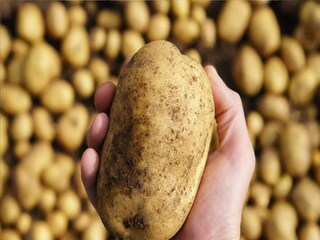 প্রতীকী ছবি। 