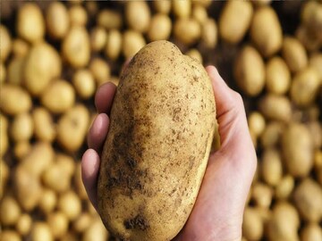 প্রতীকী ছবি। প্রতীকী ছবি।