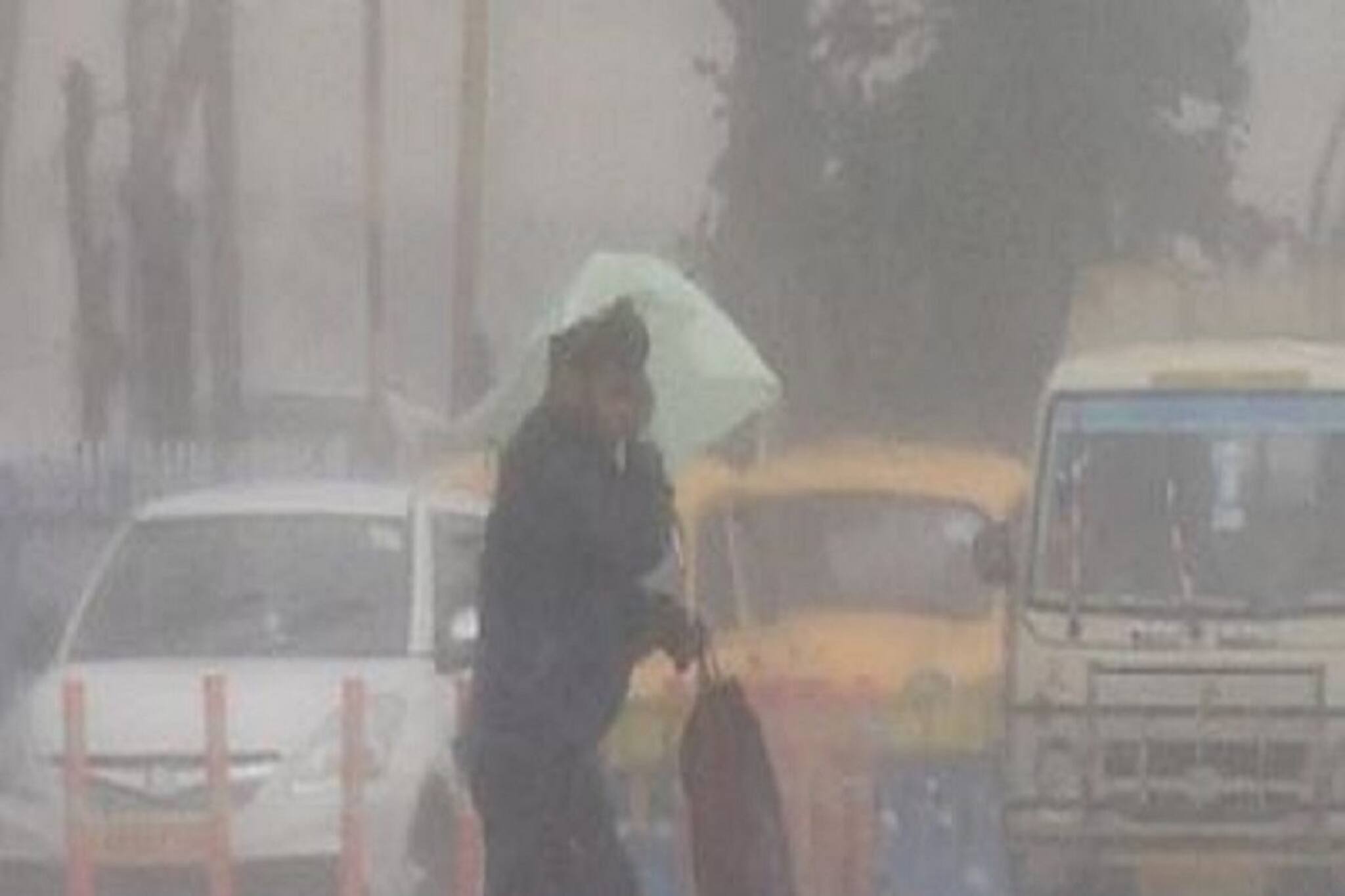 ক্রমশ কমছে বৃষ্টির পরিমাণ! কেন ছন্দপতন বর্ষার, কী বলছেন পরিবেশবিদরা?