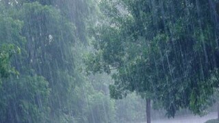 দক্ষিণবঙ্গে আগামী দুদিন বৃষ্টি কমবে। বাড়বে তাপমাত্রা সঙ্গে আর্দ্রতাজনিত অস্বস্তি, এমনই পূর্বাভাস। বৃহস্পতিবারের মধ্যে তাপমাত্রা ৩৪ ডিগ্রি সেলসিয়াসে পৌঁছতে পারে। সঙ্গে আর্দ্রতা ৯৫ শতাংশর কাছাকাছি। মঙ্গল, বুধ ও বৃহস্পতিবার ৫-১০ মিনিটের জন্য বজ্রবিদ্যুৎ সহ বৃষ্টি হালকা থেকে মাঝারি বৃষ্টি হওয়ার সম্ভাবনা বেশি। আপাতত ৪-৫ দিন ভারী বৃষ্টির কোনও সম্ভাবনা নেই দক্ষিণবঙ্গে, জানিয়েছে হাওয়া অফিস। শুক্র ও শনিবার বৃষ্টির পরিমাণ বাড়বে দক্ষিণবঙ্গে।