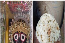 পুরীর ভোগ কলকাতার রথযাত্রায়! সবুজ মুগ ডাল-গোবিন্দ ভোগ চালে জগন্নাথের মহাভোজ
