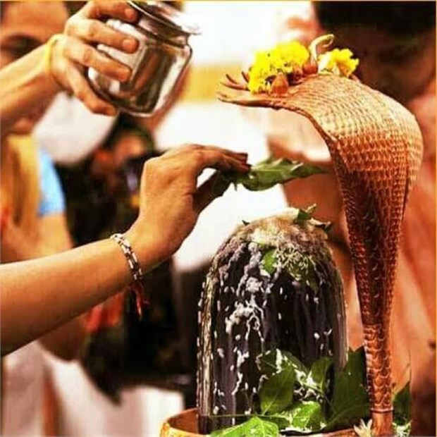 শ্রাবণ মাসে যদি কোনও ভাবে প্রতিদিন মহাদেবের পুজো না করা সম্ভব হয় সেক্ষেত্রে প্রতি সোমবার শিবের পুজো করলে বিশেষ ফল পাওয়া যায় ৷ সংগৃহীত ছবি ৷
