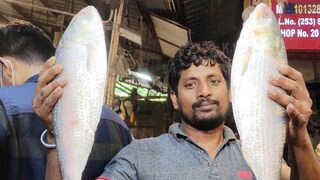 কলকাতায় দেখা নেই পদ্মার ইলিশের! হাজার হাজার টাকায় এই শহরে বিকোচ্ছে বাংলাদেশের ইলিশ কলকাতায় দেখা নেই পদ্মার ইলিশের! হাজার হাজার টাকায় এই শহরে বিকোচ্ছে বাংলাদেশের ইলিশ