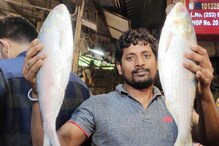 কলকাতায় নেই পদ্মার ইলিশ! হাজার হাজার টাকায় এই শহরে বিকোচ্ছে বাংলাদেশের ইলিশ কলকাতায় নেই পদ্মার ইলিশ! হাজার হাজার টাকায় এই শহরে বিকোচ্ছে বাংলাদেশের ইলিশ