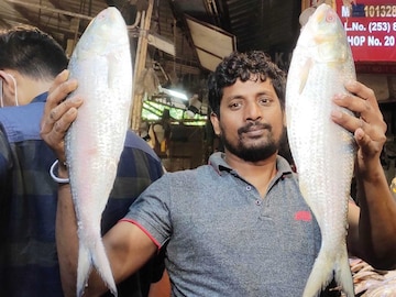 কলকাতায় দেখা নেই পদ্মার ইলিশের! হাজার হাজার টাকায় এই শহরে বিকোচ্ছে বাংলাদেশের ইলিশ