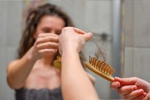 Hair care tips: গোছা গোছা চুল পড়ে যাচ্ছে? সিঁথি চওড়া হয়ে গিয়েছে? যে খাবারগুলি নৈব নৈব চ