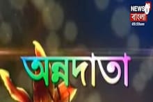 Annadata: কীভাবে করবেন লাভজনক তরমুজ চাষ? দেখুন অন্নদাতা