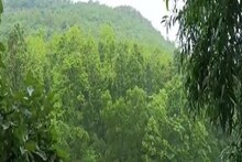 প্রকৃতিকে সন্তুষ্ট করতে পাহাড়ের পুজো, কানাইসোর পাহাড় পুজোয় মানুষের সমাগম