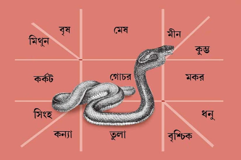 Disclaimer: নিউজ ১৮ বাংলা উপরোক্ত তথ্য মানতে বাধ্য করেনা বা অনুরোধও করেনা, নিজের বিচার বিবেচনা দিয়ে মূল্যায়ন করেই ব্যবহারিক প্রয়োগ করতে হবে ৷ প্রতীকী ছবি ৷