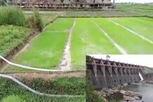 জলের অভাবে আমন চাষ ক্ষতির মুখে পড়ার আশঙ্কা জলের অভাবে আমন চাষ ক্ষতির মুখে পড়ার আশঙ্কা