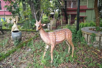 জলপাইগুড়ির রাজবাড়ি পার্কে আবার ভিড়, খুশি এলাকাবাসী