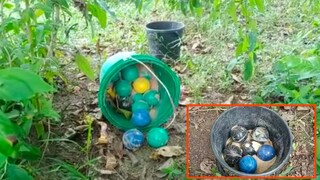 ফরাক্কাতে উদ্ধার হওয়া তাজা বোমা ফরাক্কাতে উদ্ধার হওয়া তাজা বোমা