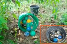 ভয়ঙ্কর জিনিস উদ্ধার ফরাক্কায়, স্বাধীনতা দিবসের ঠিক আগেরদিন চাঞ্চল্য এলাকায় ভয়ঙ্কর জিনিস উদ্ধার ফরাক্কায়, স্বাধীনতা দিবসের ঠিক আগেরদিন চাঞ্চল্য এলাকায়
