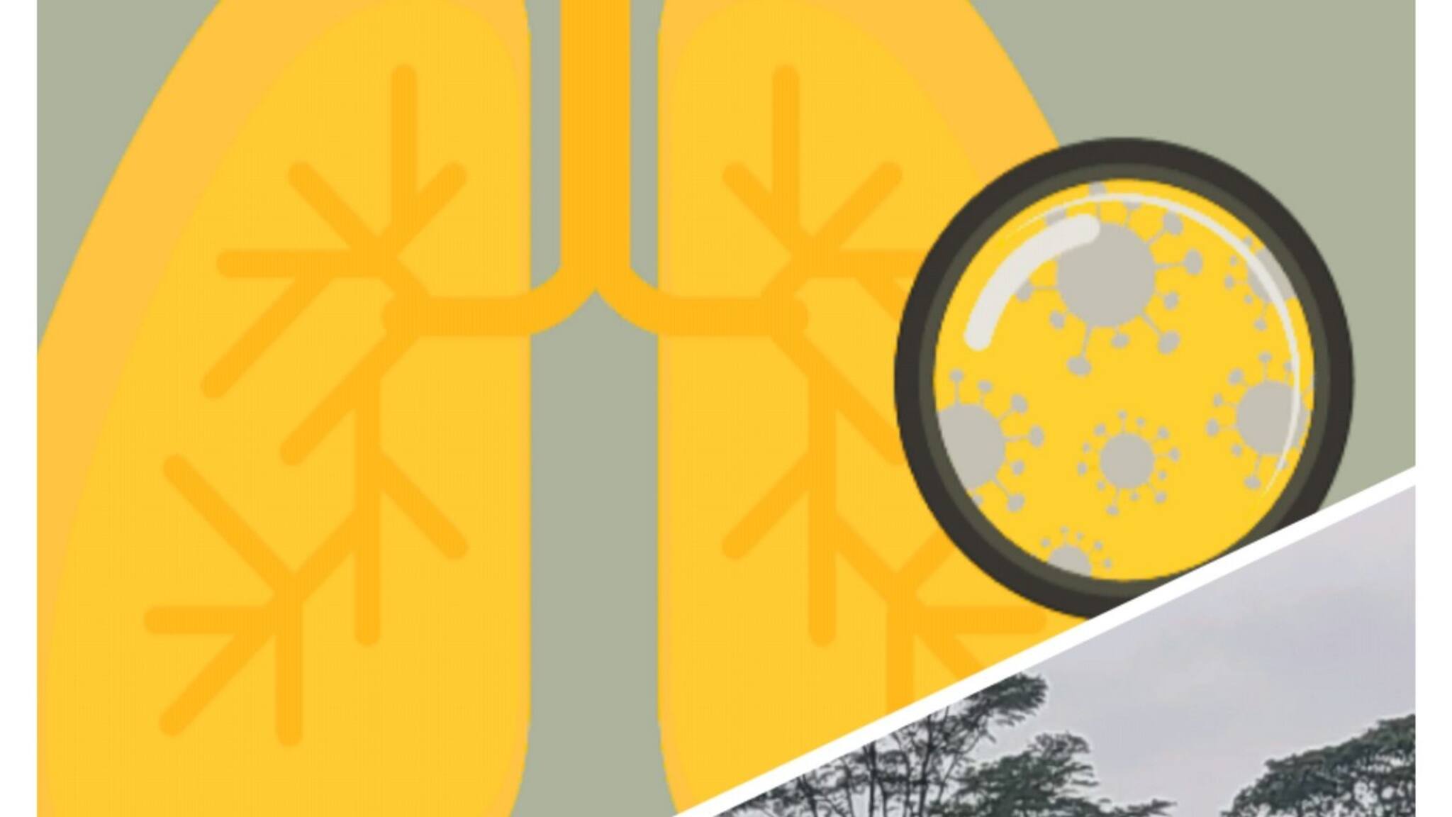 Alipurduar News: হঠাৎই চা বলয়ে বাড়ছে যক্ষা রোগীর সংখ্যা! উদ্বিগ্ন স্বাস্থ্য দফতর