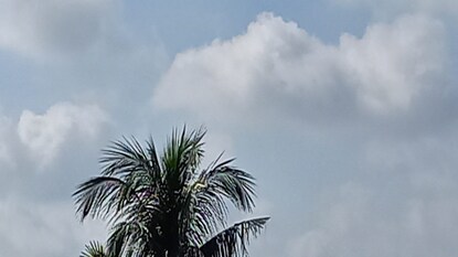 নতুন করে নিম্নচাপের সম্ভাবনা বঙ্গোপসাগরে, বৃহস্পতি-শুক্র ভারী বৃষ্টির সম্ভাবনা গাঙ্গেয় পশ্চিমবঙ্গে নতুন করে নিম্নচাপের সম্ভাবনা বঙ্গোপসাগরে, বৃহস্পতি-শুক্র ভারী বৃষ্টির সম্ভাবনা গাঙ্গেয় পশ্চিমবঙ্গে