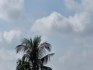 নতুন করে নিম্নচাপের সম্ভাবনা বঙ্গোপসাগরে, বৃহস্পতি-শুক্র ভারী বৃষ্টির সম্ভাবনা গাঙ্গেয় পশ্চিমবঙ্গে
