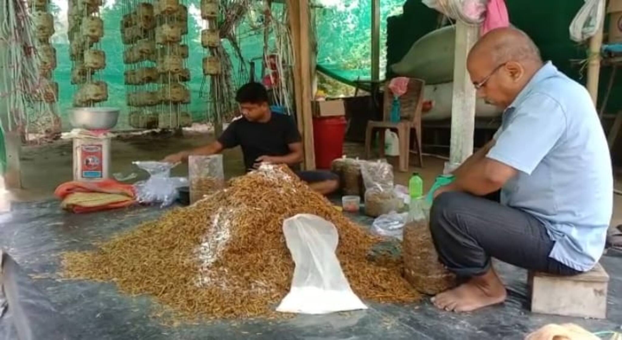 কম পুঁজির বিনিময়ে বিপুল লাভ ও উপার্জন, বেকার যুবক যুবতীদের আশার আলো এখানেই