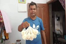 কীভাবে তৈরি হয় শোলার কদমফুল? দেখুন...