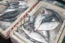 আবহাওয়া খারাপ , ইলিশের যোগানে মন্দা, হুড়মুড়িয়ে বাড়ছে দাম আবহাওয়া খারাপ , ইলিশের যোগানে মন্দা, হুড়মুড়িয়ে বাড়ছে দাম