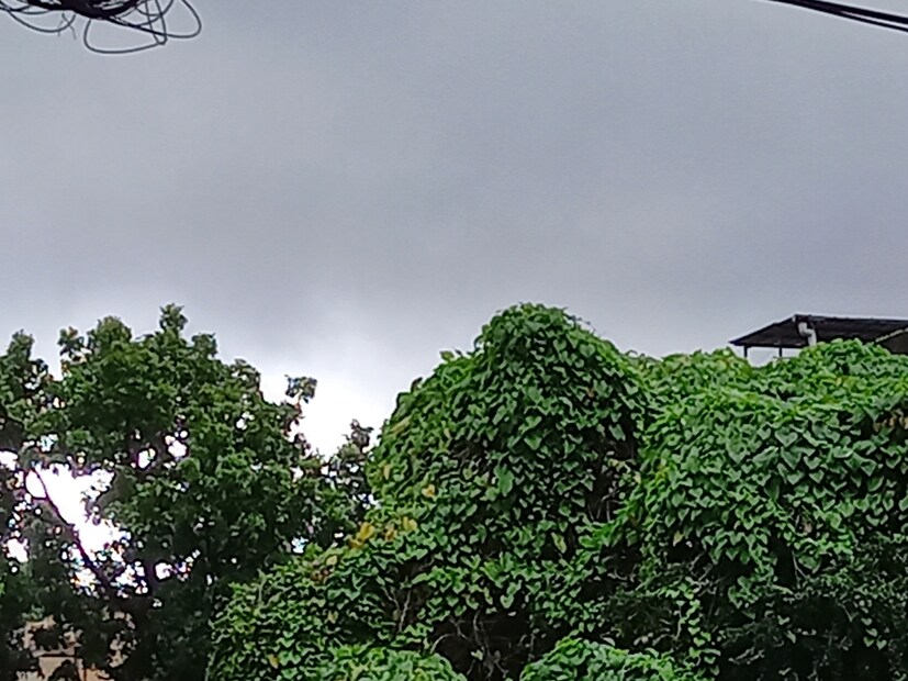  শুক্র এবং শনিবার দার্জিলিং, কালিম্পং, আলিপুরদুয়ার, কোচবিহার এবং জলপাইগুড়ি-সহ উত্তর দিনাজপুরের বাড়বে বৃষ্টির সম্ভাবনা।   
