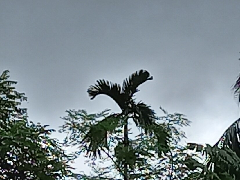  আগামী ২৪ ঘণ্টায় কলকাতা শহরে তাপমাত্রা থাকবে ২৬ ডিগ্রি সেলসিয়াস থেকে ৩১ ডিগ্রি সেলসিয়াসের মধ্যে। আজ, বুধবার সকালে সর্বনিম্ন তাপমাত্রা কলকাতা শহরে ছিল ২৫.৯ ডিগ্রি সেলসিয়াস। স্বাভাবিকের থেকে যা ১ ডিগ্রি নীচে। গতকাল, মঙ্গলবার বিকেলে সর্বোচ্চ তাপমাত্রা ছিল ৩১.৭ ডিগ্রি সেলসিয়াস। যা স্বাভাবিক তাপমাত্রা । বাতাসে আপেক্ষিক আর্দ্রতার পরিমাণ ৭২ থেকে ৯৫ শতাংশ। শহরে বৃষ্টিপাতের পরিমাণ সামান্য।