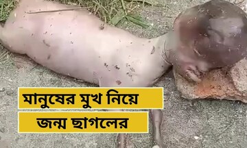 অদ্ভুত