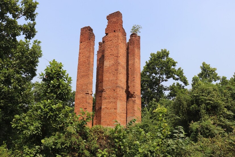 কালিকাপুর রাজবাড়ি: প্রায় ৪০০ বছর আগের এই রাজবাড়ি অবস্থা এখনও বেশ লক্ষণীয়। ঐতিহ্যের সঙ্গে মাথা তুলে এখনও দাড়িয়ে আছে এই রাজবাড়ি। বলিউড-টালিউডের বহু সিনেমায় দেখা পাওয়া গিয়েছে কালিকাপুর রাজবাড়ি। সমগ্র রাজবাড়ীর মধ্যে মন্দির গুলিই এখনও মাথা তুলে দাঁড়িয়ে আছে পুরোনো ঐতিহ্যের গন্ধ মেখে। কালিকাপুর পৌঁছেই চোখে পড়বে ২ টি শিব মন্দির এবং একটি বড় ফটক। সেই ফটক পেরিয়েই আপনি ঢুকে যেতে পারবেন রাজবাড়ীর নাটমন্দিরে। কি বিশাল সেই দুর্গামন্দিরের চাতাল। চাতালের মাঝে তাল গাছের মতন দাঁড়িয়ে গগনচুম্বী ৬-৮ টি স্তম্ভ।