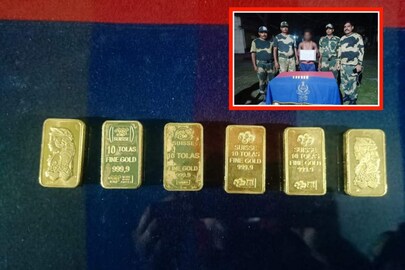 বিএসএফের হাতে গ্রেফতার পাচারকারী 