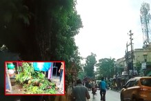 যশোর রোড তো নয়! যেন মরণ ফাঁদ! কি এমন ঘটল? যশোর রোড তো নয়! যেন মরণ ফাঁদ! কি এমন ঘটল?