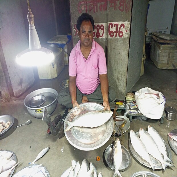 তবে এবছর সেই আশায় এখনও নিরাশ তাঁরা, ভোজন প্রিয় বাঙালির সাধ মিটছে না ইলিশে। তাই ইচ্ছে থাকলেও আকাশছোঁয়া দামের জন্য অনেক বাড়ির হেঁশেলেই ইলিশের দেখা নেই। মন্দার মাঝেই উলুবেড়িয়ায় আড়াই কিলো সাইজের ইলিশের দেখা মিলল জালে। (রিপোর্ট-- রাকেশ মাইতি)