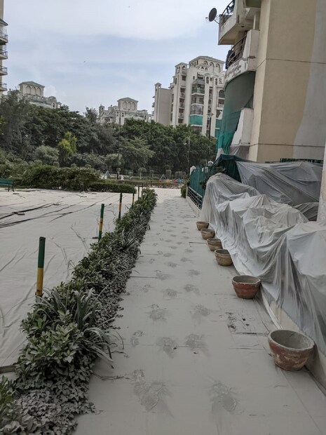 ৯ সেকেন্ডে নয়ডার ট্যুইন টাওয়ার ভাঙা তো দেখল গোটা দেশ৷ শুরু হয়েছিল কাউন্ট ডাউন৷ তারপর বিশেষ কৌশলে, ভয়ঙ্কর আওয়াজ করে, চারিদিকে ধূলো উড়িয়ে ধ্বসে পড়ল বিল্ডিংটি৷ কিন্তু তারপর? এখন সেখানে কী অবস্থা? 